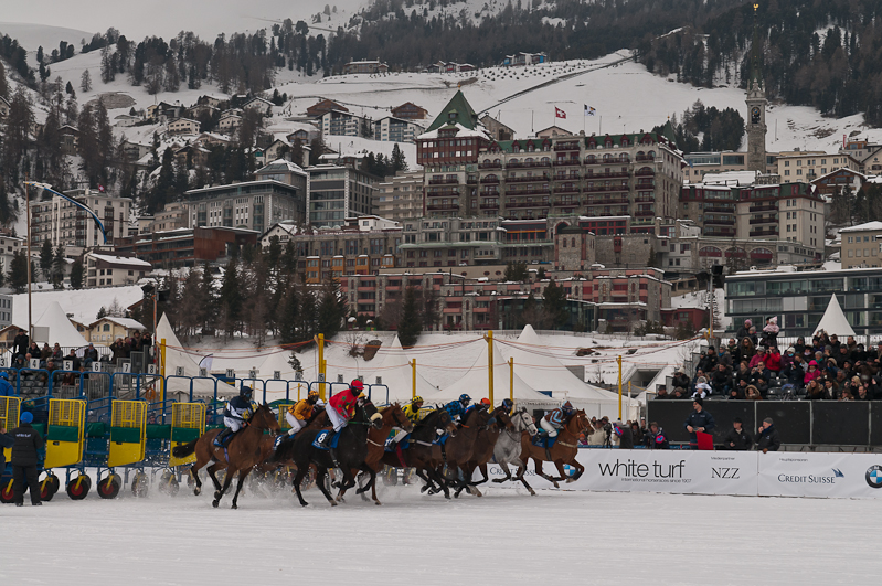 Grand Prix Prestige / Rennbahn Berlin, Hoppegarten,  Graubünden, Horse Race, Snow, Sport, St. Moritz, Switzerland, White Turf, Winter