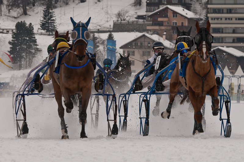 Grand Prix Gaggenau Hausgeräte,  Graubünden, Horse Race, Snow, Sport, St. Moritz, Switzerland, White Turf, Winter