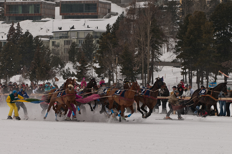 Credit Suisse Skijöring Trophy 2012,  Graubünden, Horse Race, Snow, Sport, St. Moritz, Switzerland, White Turf, Winter