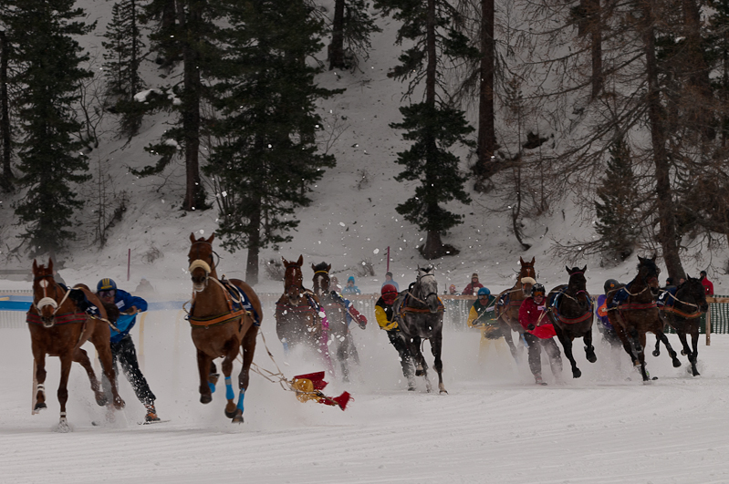 Credit Suisse Skijöring Trophy 2012,  Graubünden, Horse Race, Snow, Sport, St. Moritz, Switzerland, White Turf, Winter