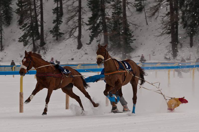 Credit Suisse Skijöring Trophy 2012,  Graubünden, Horse Race, Snow, Sport, St. Moritz, Switzerland, White Turf, Winter