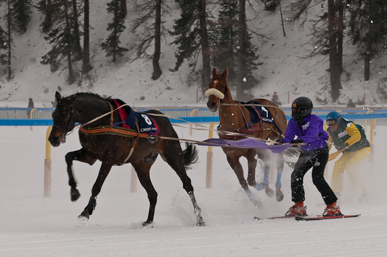 Credit Suisse Skijöring Trophy 2012,  Graubünden, Horse Race, Snow, Sport, St. Moritz, Switzerland, White Turf, Winter