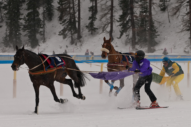 Credit Suisse Skijöring Trophy 2012,  Graubünden, Horse Race, Snow, Sport, St. Moritz, Switzerland, White Turf, Winter