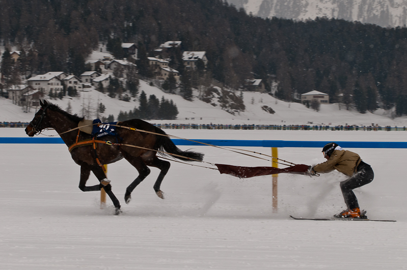 Credit Suisse Skijöring Trophy 2012,  Graubünden, Horse Race, Snow, Sport, St. Moritz, Switzerland, White Turf, Winter