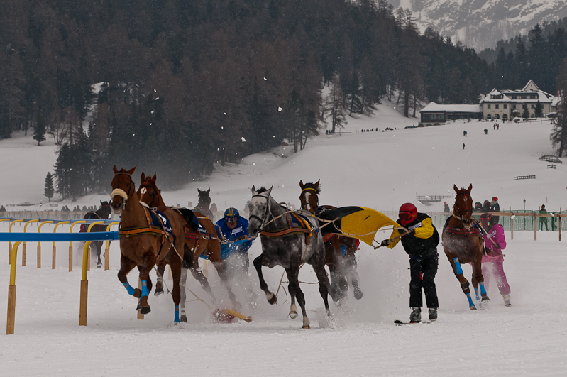 Credit Suisse Skijöring Trophy 2012,  Graubünden, Horse Race, Snow, Sport, St. Moritz, Switzerland, White Turf, Winter