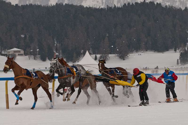 Credit Suisse Skijöring Trophy 2012,  Graubünden, Horse Race, Snow, Sport, St. Moritz, Switzerland, White Turf, Winter