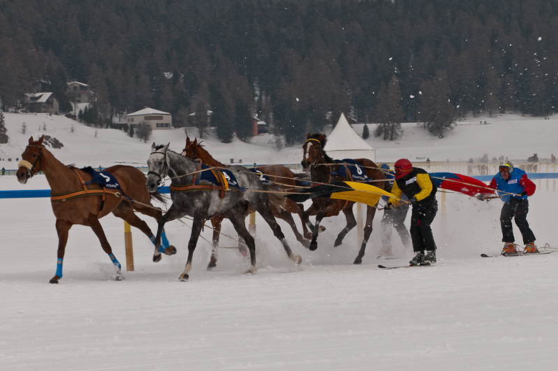 Credit Suisse Skijöring Trophy 2012,  Graubünden, Horse Race, Snow, Sport, St. Moritz, Switzerland, White Turf, Winter