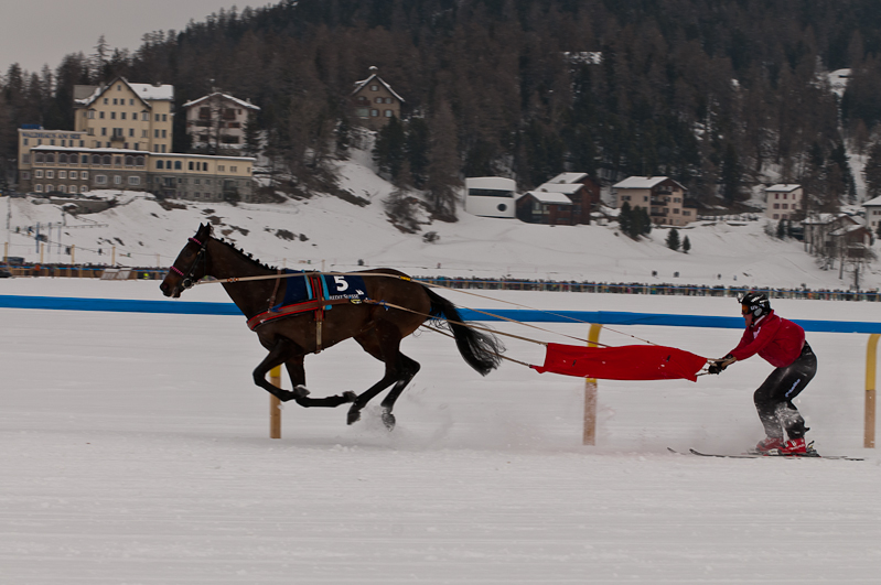 Credit Suisse Skijöring Trophy 2012,  Graubünden, Horse Race, Snow, Sport, St. Moritz, Switzerland, White Turf, Winter