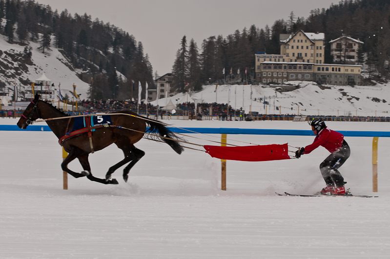Credit Suisse Skijöring Trophy 2012,  Graubünden, Horse Race, Snow, Sport, St. Moritz, Switzerland, White Turf, Winter