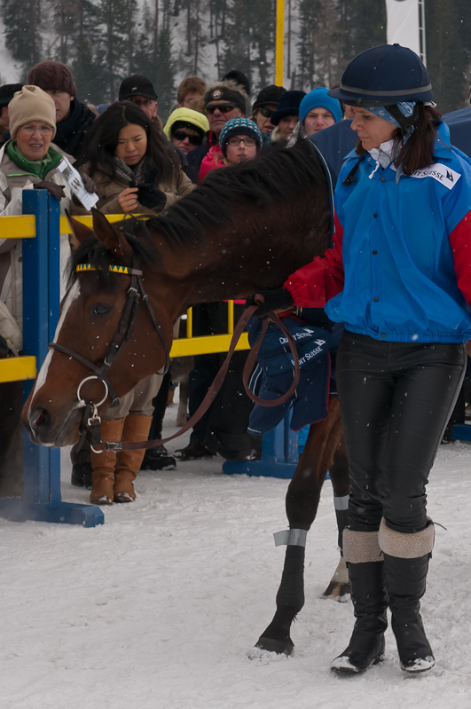 Credit Suisse Skijöring Trophy 2012, Sieger Ehrung 1., 2. & 3. Platz.  König des Engadin - Adrian von Gunten mit Pferd Mombasa, Besitzer: Peter Schiergen Graubünden, Horse Race, Snow, Sport, St. Moritz, Switzerland, White Turf, Winter