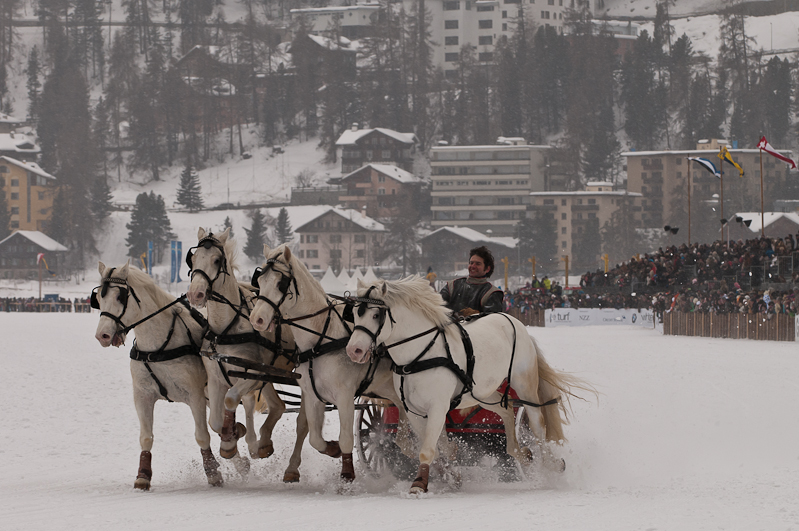 ,  Graubünden, Horse Race, Snow, Sport, St. Moritz, Switzerland, White Turf, Winter