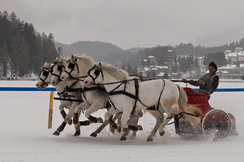 ,  Graubünden, Horse Race, Snow, Sport, St. Moritz, Switzerland, White Turf, Winter