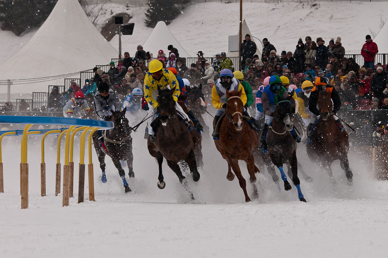 Gübelin 73. Grosser Preis von St. Moritz,  Graubünden, Horse Race, Snow, Sport, St. Moritz, Switzerland, White Turf, Winter