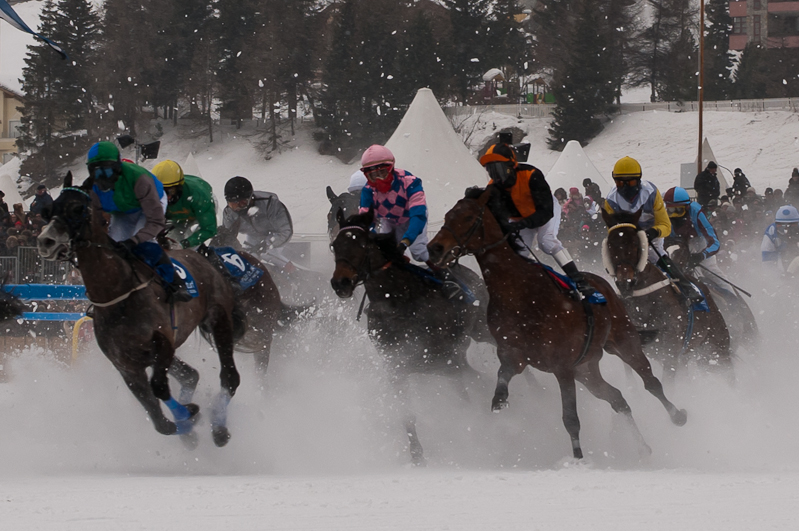 Gübelin 73. Grosser Preis von St. Moritz,  Graubünden, Horse Race, Snow, Sport, St. Moritz, Switzerland, White Turf, Winter