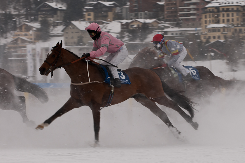 Gübelin 73. Grosser Preis von St. Moritz,  Graubünden, Horse Race, Snow, Sport, St. Moritz, Switzerland, White Turf, Winter