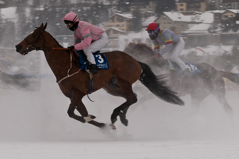 Gübelin 73. Grosser Preis von St. Moritz,  Graubünden, Horse Race, Snow, Sport, St. Moritz, Switzerland, White Turf, Winter