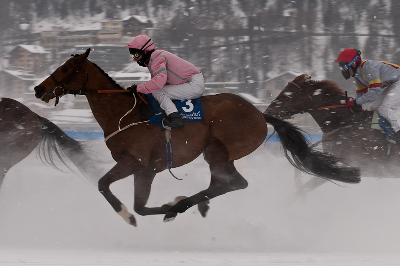 Gübelin 73. Grosser Preis von St. Moritz,  Graubünden, Horse Race, Snow, Sport, St. Moritz, Switzerland, White Turf, Winter