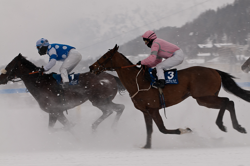 Gübelin 73. Grosser Preis von St. Moritz,  Graubünden, Horse Race, Snow, Sport, St. Moritz, Switzerland, White Turf, Winter