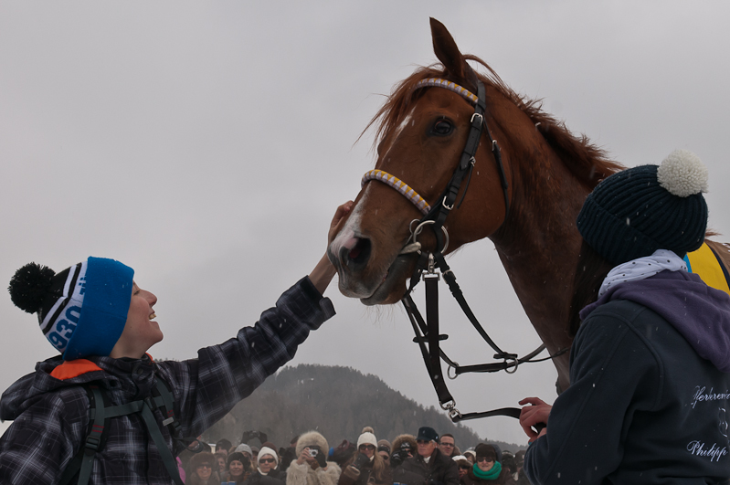 Gübelin 73. Grosser Preis von St. Moritz, Sieger, Winner - Pferd: Schützenjunker / Jockey: Daniele Porcu / Owner: Philipp Schärer Graubünden, Horse Race, Snow, Sport, St. Moritz, Switzerland, White Turf, Winter