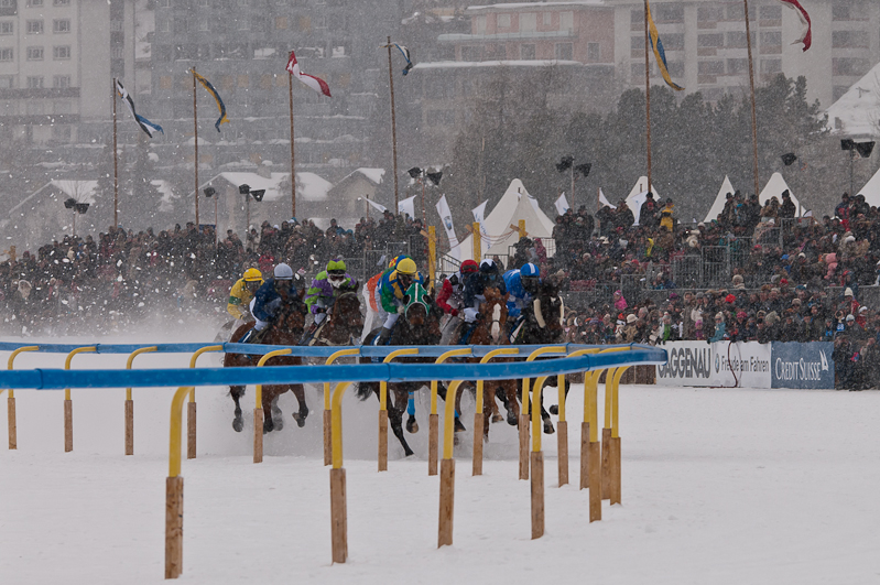 Grand Prix Gunter Sachs Memorial Race,  Graubünden, Horse Race, Snow, Sport, St. Moritz, Switzerland, White Turf, Winter