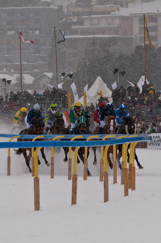 Grand Prix Gunter Sachs Memorial Race,  Graubünden, Horse Race, Snow, Sport, St. Moritz, Switzerland, White Turf, Winter