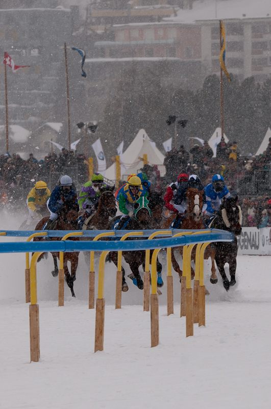 Grand Prix Gunter Sachs Memorial Race,  Graubünden, Horse Race, Snow, Sport, St. Moritz, Switzerland, White Turf, Winter