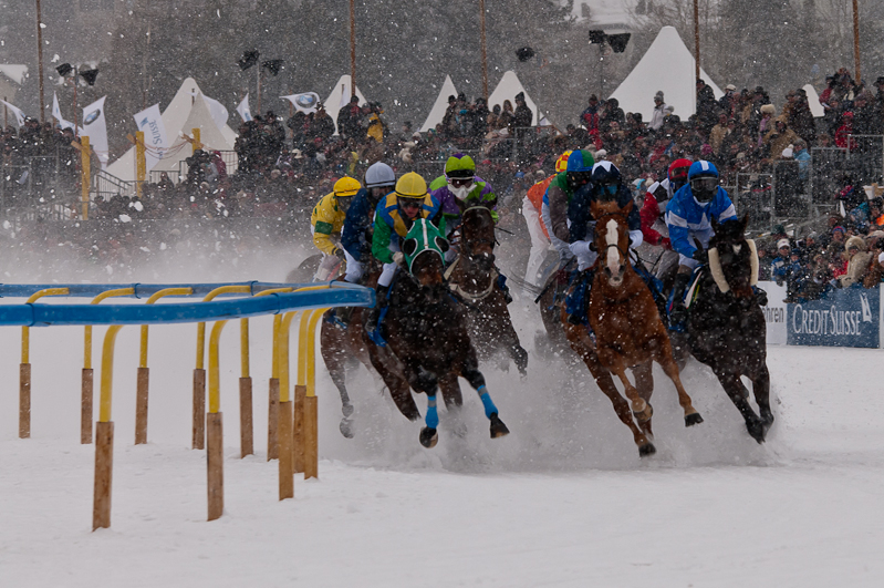 Grand Prix Gunter Sachs Memorial Race,  Graubünden, Horse Race, Snow, Sport, St. Moritz, Switzerland, White Turf, Winter