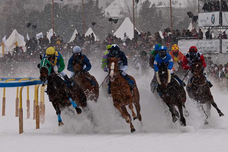 Grand Prix Gunter Sachs Memorial Race,  Graubünden, Horse Race, Snow, Sport, St. Moritz, Switzerland, White Turf, Winter