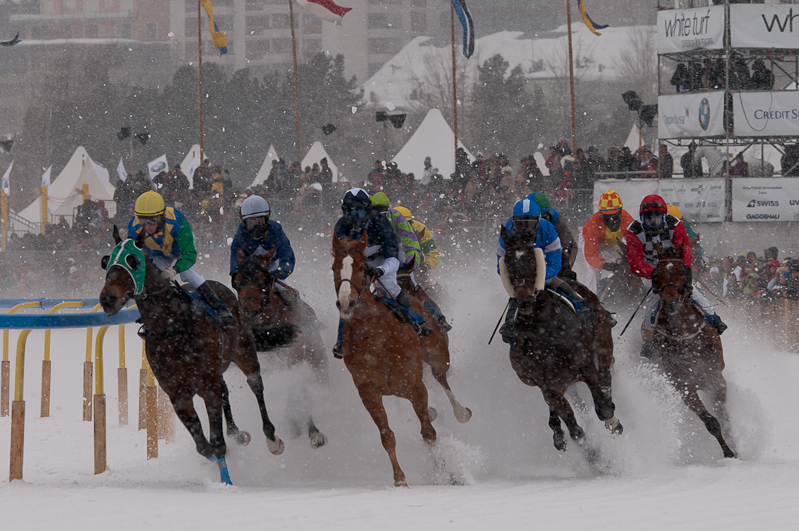 Grand Prix Gunter Sachs Memorial Race,  Graubünden, Horse Race, Snow, Sport, St. Moritz, Switzerland, White Turf, Winter