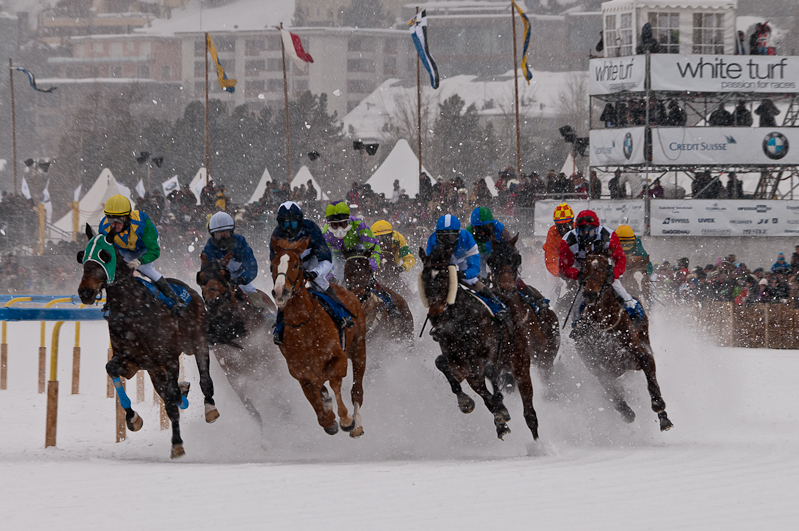 Grand Prix Gunter Sachs Memorial Race,  Graubünden, Horse Race, Snow, Sport, St. Moritz, Switzerland, White Turf, Winter