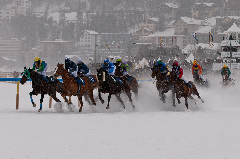 Grand Prix Gunter Sachs Memorial Race,  Graubünden, Horse Race, Snow, Sport, St. Moritz, Switzerland, White Turf, Winter