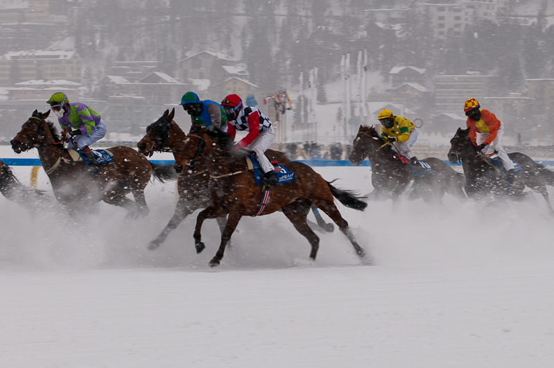 Grand Prix Gunter Sachs Memorial Race,  Graubünden, Horse Race, Snow, Sport, St. Moritz, Switzerland, White Turf, Winter