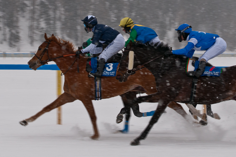 Grand Prix Gunter Sachs Memorial Race,  Graubünden, Horse Race, Snow, Sport, St. Moritz, Switzerland, White Turf, Winter