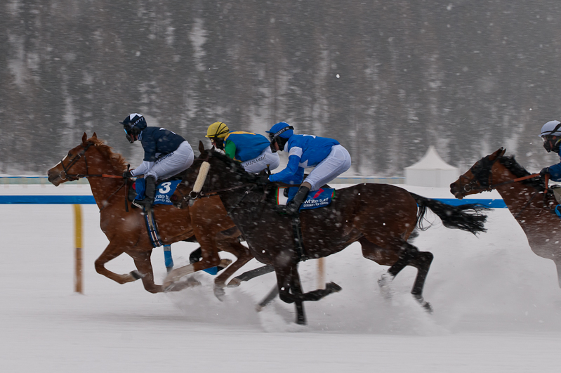 Grand Prix Gunter Sachs Memorial Race,  Graubünden, Horse Race, Snow, Sport, St. Moritz, Switzerland, White Turf, Winter