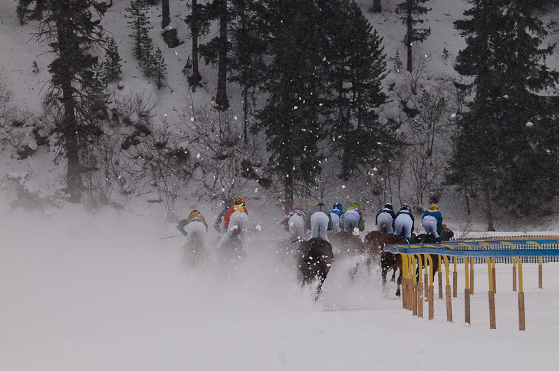 Grand Prix Gunter Sachs Memorial Race,  Graubünden, Horse Race, Snow, Sport, St. Moritz, Switzerland, White Turf, Winter