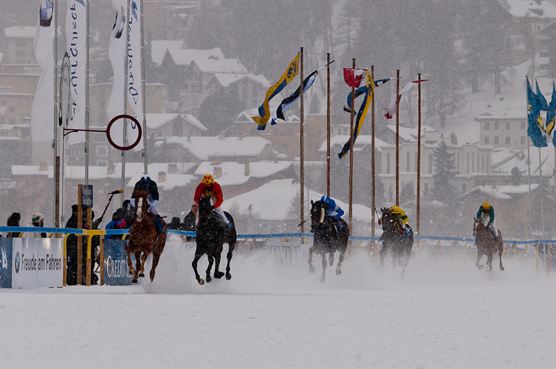 Grand Prix Gunter Sachs Memorial Race,  Graubünden, Horse Race, Snow, Sport, St. Moritz, Switzerland, White Turf, Winter