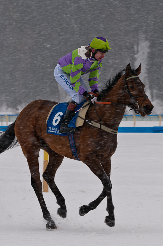 Grand Prix Gunter Sachs Memorial Race, Robert Havlin riding Story of Dubai Graubünden, Horse Race, Snow, Sport, St. Moritz, Switzerland, White Turf, Winter