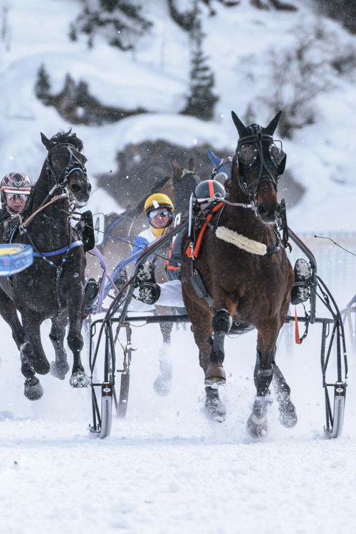 , Trotting race, 1700m, GP Data Quest, CHF 15000