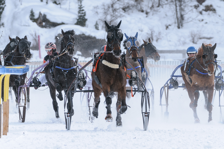 , Trotting race, 1700m, GP Data Quest, CHF 15000