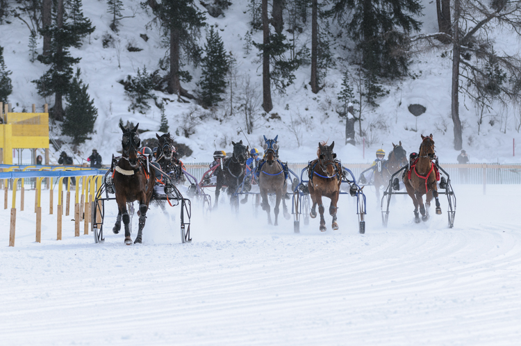 , Trotting race, 1700m, GP Data Quest, CHF 15000