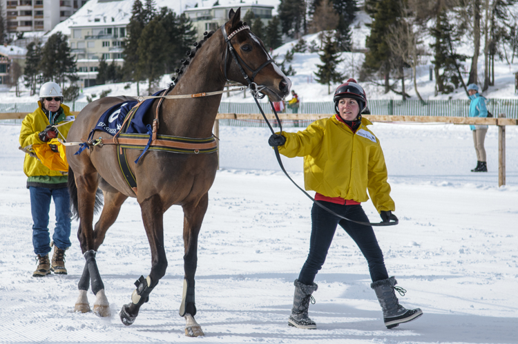 , Skikjöring, 2700m, CREDIT SUISSE - GP of Sils, CHF 15000