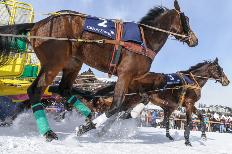 indexPageImage, Skikjöring, 2700m, CREDIT SUISSE - GP of Sils, CHF 15000