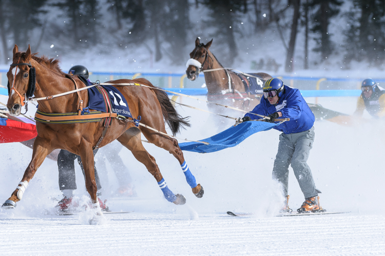 , Skikjöring, 2700m, CREDIT SUISSE - GP of Sils, CHF 15000