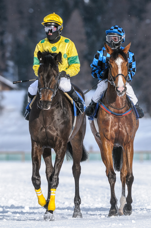 , Flat race, 1800m, Preis Hotellerie Suisse St. Moritz und Galopprennfreunde Schweiz, CHF 10000