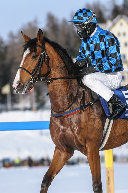 , Flat race, 1800m, Preis Hotellerie Suisse St. Moritz und Galopprennfreunde Schweiz, CHF 10000