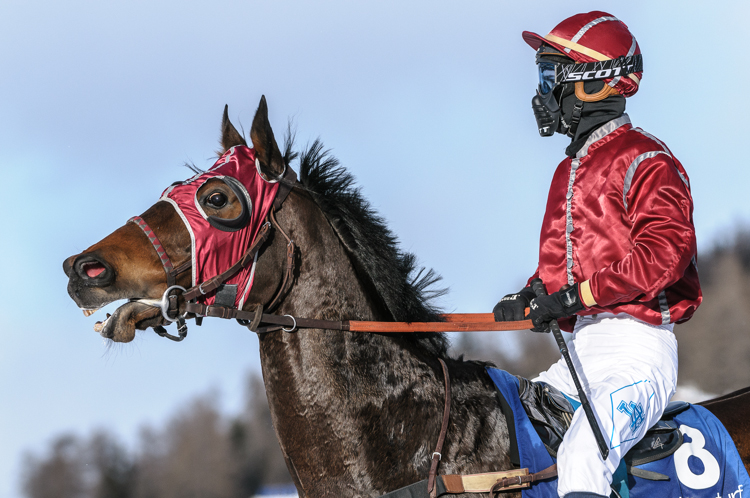 indexPageImage, Flat race, 1800m, Preis Hotellerie Suisse St. Moritz und Galopprennfreunde Schweiz, CHF 10000