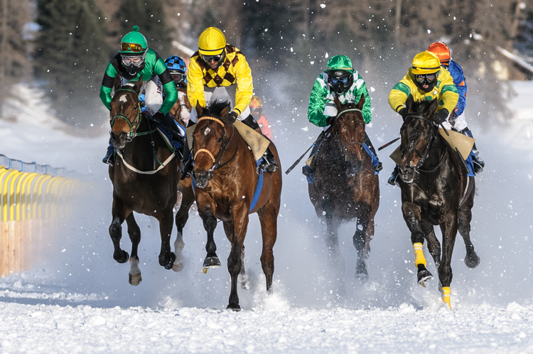 , Flat race, 1800m, Preis Hotellerie Suisse St. Moritz und Galopprennfreunde Schweiz, CHF 10000