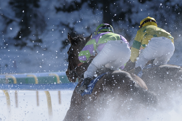 White Turf, horse racing, winter, Flat race, 1600m, GP Swiss International Air Lines, CHF15000, Flat race, 1600m, GP Swiss International Air Lines, CHF15000