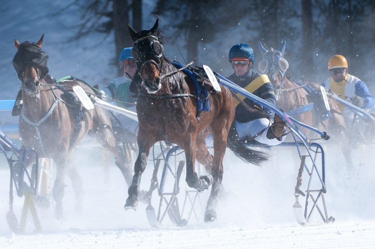 , Trotting race, 1700m, GP PRESTIGE, CHF 15000, Trotting race, 1700m, GP PRESTIGE, CHF 15000