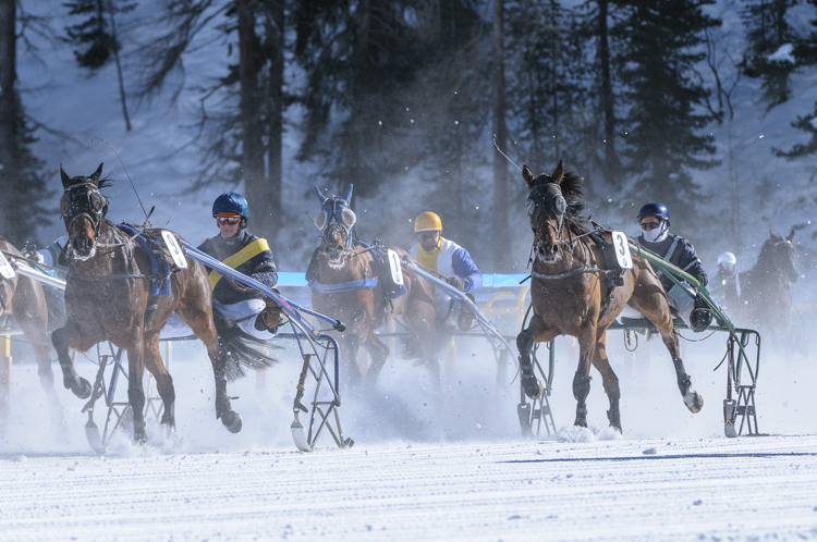 , Trotting race, 1700m, GP PRESTIGE, CHF 15000, Trotting race, 1700m, GP PRESTIGE, CHF 15000